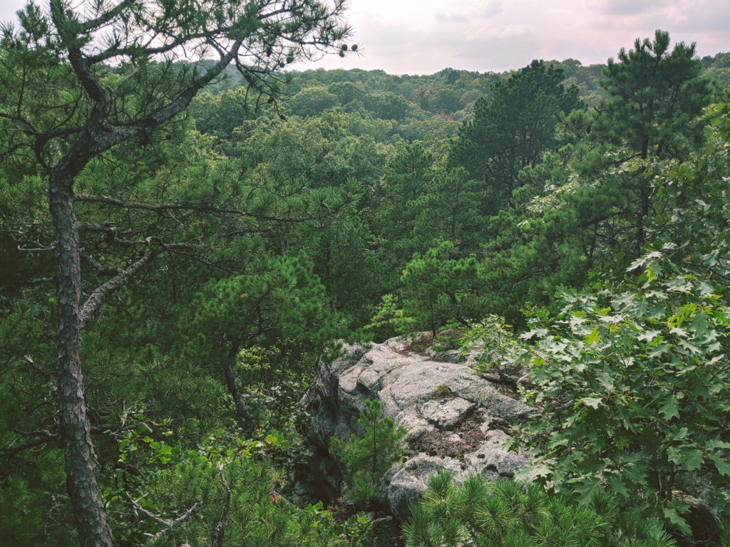 Pickle Springs Natural Area Pretty Rounded