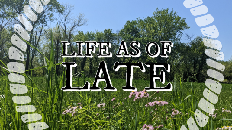 Life As of Late
